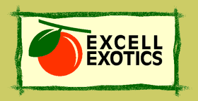 Excell Exotics  : Exporters and importers of fruit & vegetable produce from around the world.
