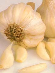 Image of  Garlic