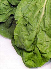 Image of Lovage