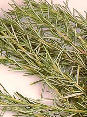Image of  Rosemary
